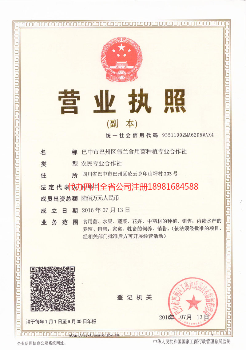 绥化绥化伟兰食用菌种植专业合作社